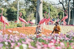 BIB: 
                            <button type="button" onclick="openModal(27344214)" class="btn btn-primary btn-sm float-right btn-popup" data-toggle="modal" data-target=".modal-high-quality">
                        <i class="fas fa-shopping-cart"></i> Add to Cart
                    </button>
                                            <button type="button" onclick="isThisMe(27344214, true)" class="btn btn-success btn-sm float-right btn-popup btn-isme hidden" data-toggle="tooltip" data-placement="bottom" title="นี่คือรูปของคุณใช่ไหม คลิกที่นี่เพื่อเอาเข้าอัลบั้ม">
                        <i class="fas fa-plus"></i> Add to album
                    </button>
                    <button type="button" onclick="isThisMe(27344214, false)" class="btn btn-warning btn-sm float-right btn-popup btn-isnotme hidden">
                        <i class="fas fa-ban"></i> Remove from album
                    </button>